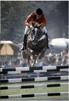 Screen shot 2010-11-17 at 12.29.05 PM