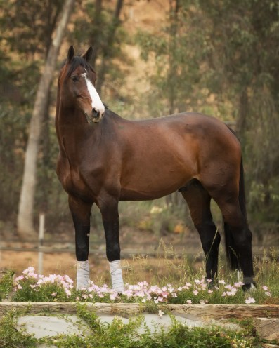 CBPP_20130505_SanMarcos-1121-Mstr