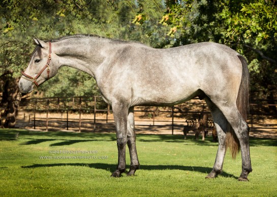 140814-CCF-020-Edit-2