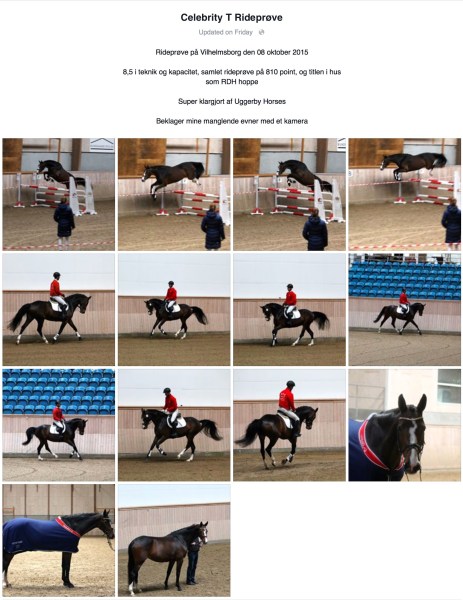 Screen Shot 2015-10-19 at 9.09.57 AM