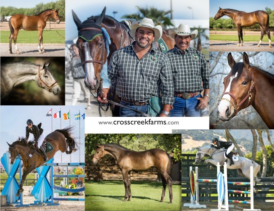 screen-shot-2016-10-12-at-1-21-16-pm